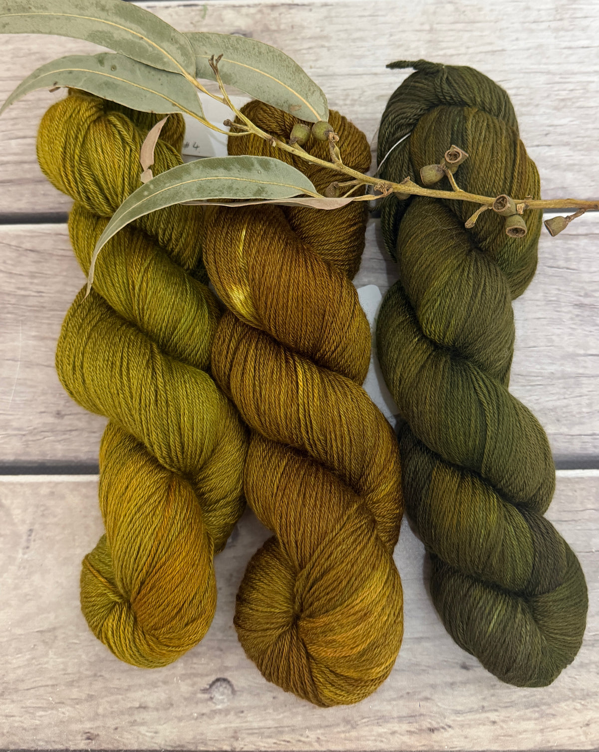 Gryphon Short Fade - Jasmine merino/silk yarn - 4 ply