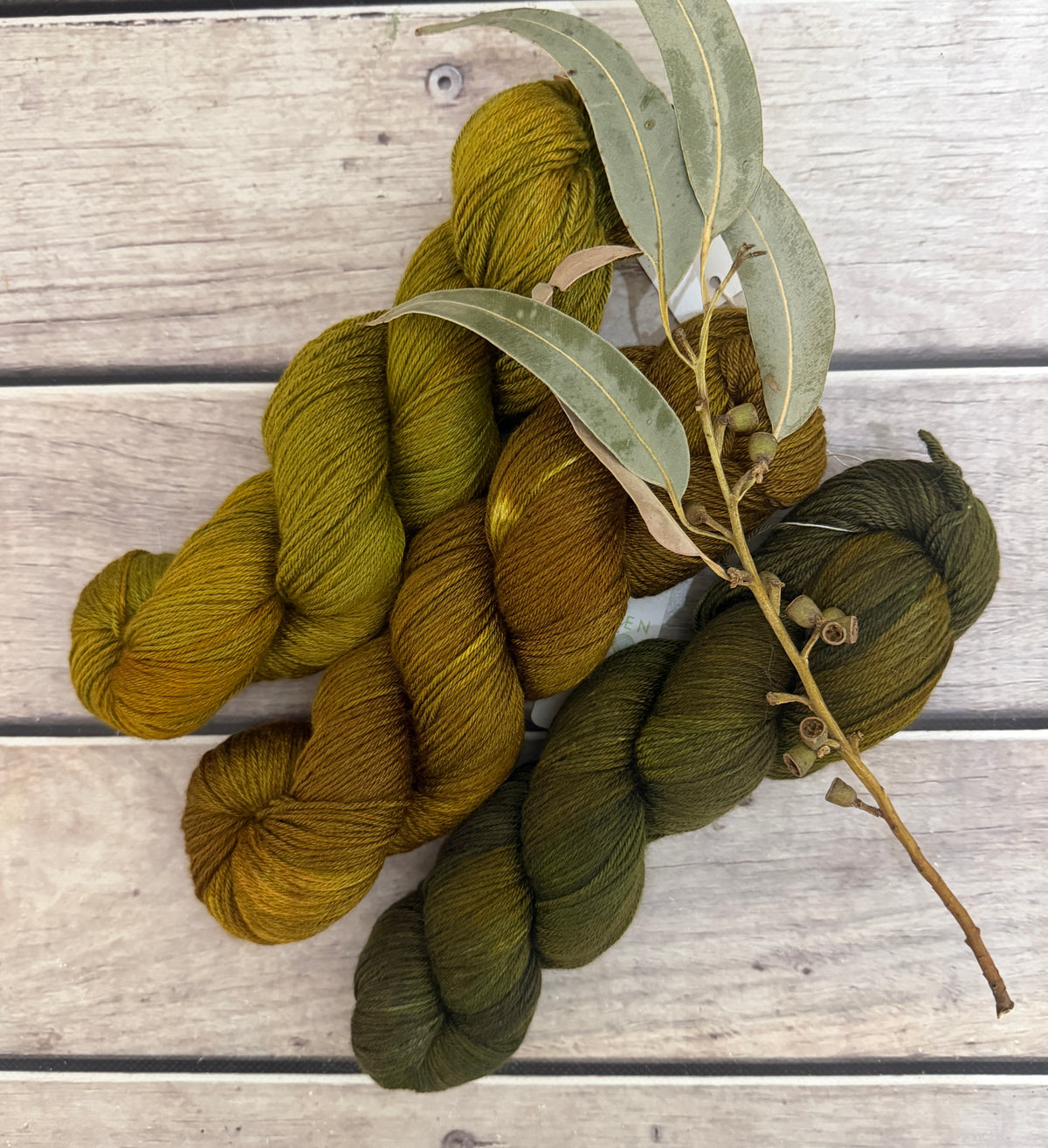 Gryphon Short Fade - Jasmine merino/silk yarn - 4 ply