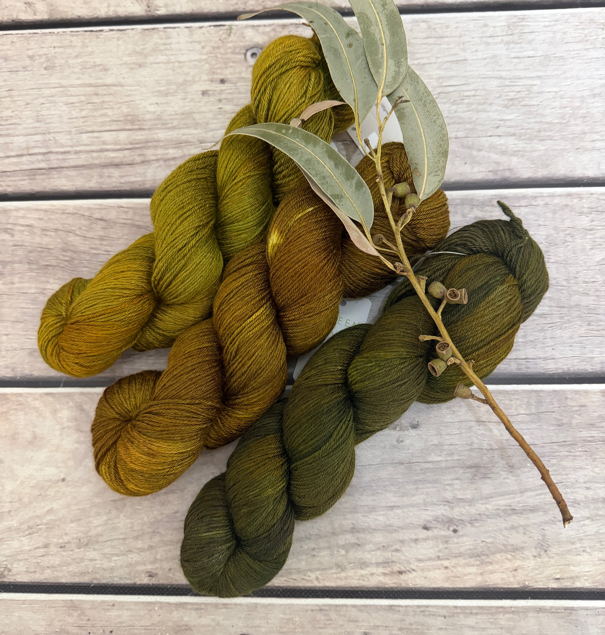 Gryphon Short Fade - Jasmine merino/silk yarn - 4 ply