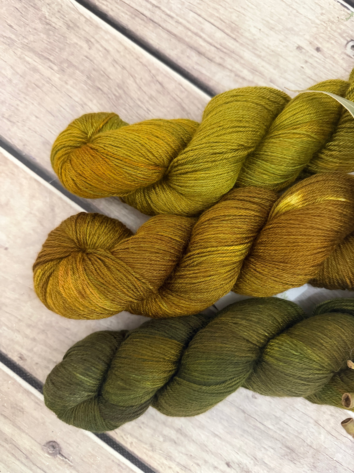 Gryphon Short Fade - Jasmine merino/silk yarn - 4 ply