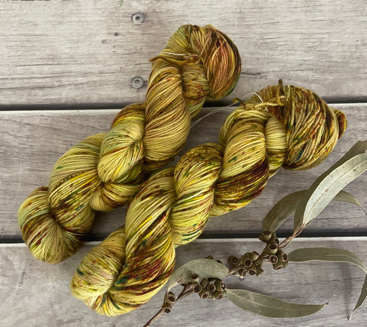 Mixed Spices ooak - sock yarn in merino and nylon - Darjeeling