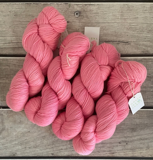 Roseate Emperor Moth #2 - Darjeeling sock yarn - 4 ply
