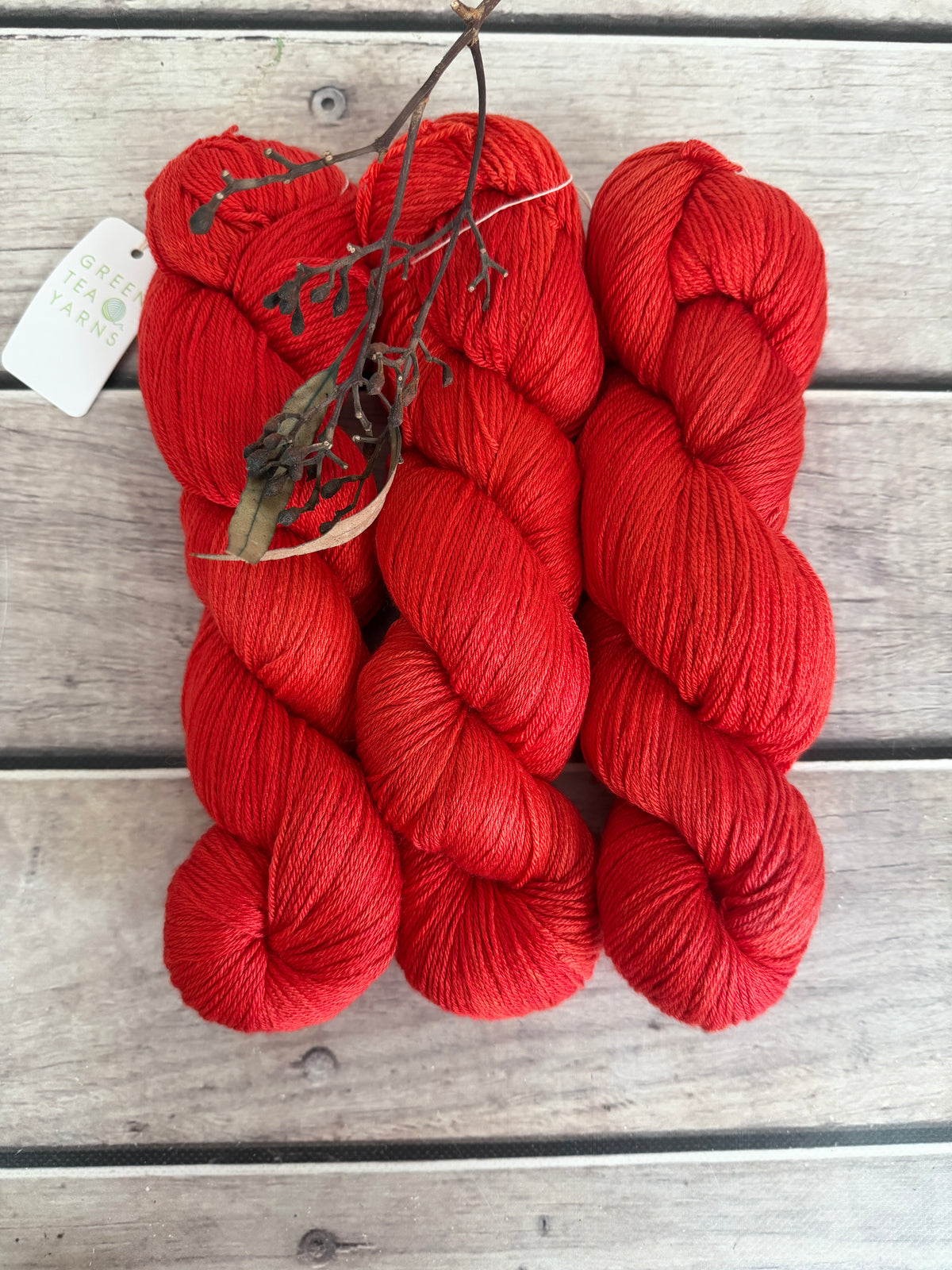 Hibiscus Harlequin Bug #2 - 4 ply merino/ nylon sock yarn- Darjeeling