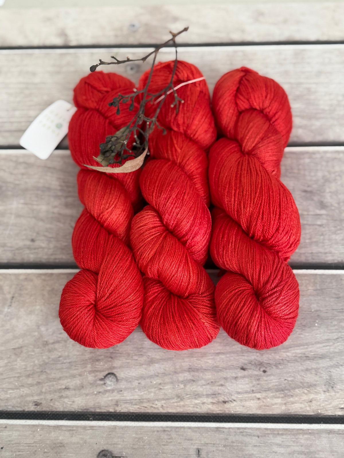Hibiscus Harlequin Bug #2 - 4 ply merino/ nylon sock yarn- Darjeeling