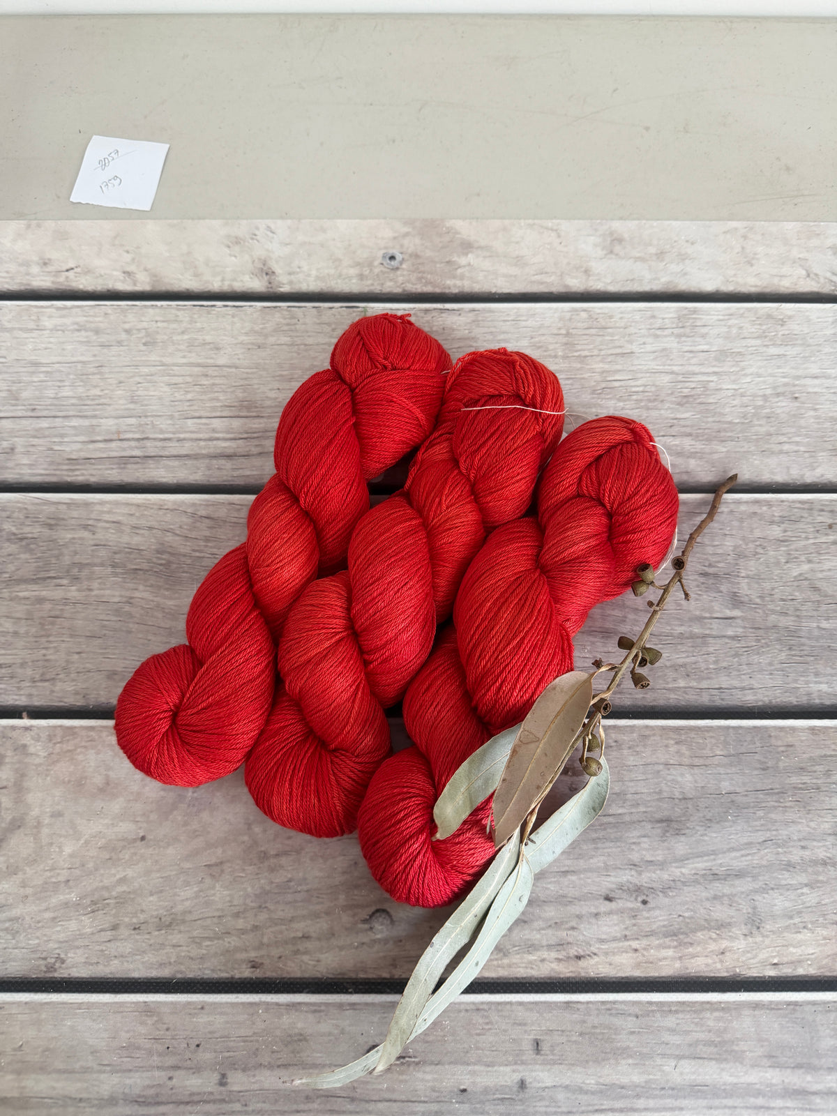 Hibiscus Harlequin Bug #2 - 4 ply merino/ nylon sock yarn- Darjeeling
