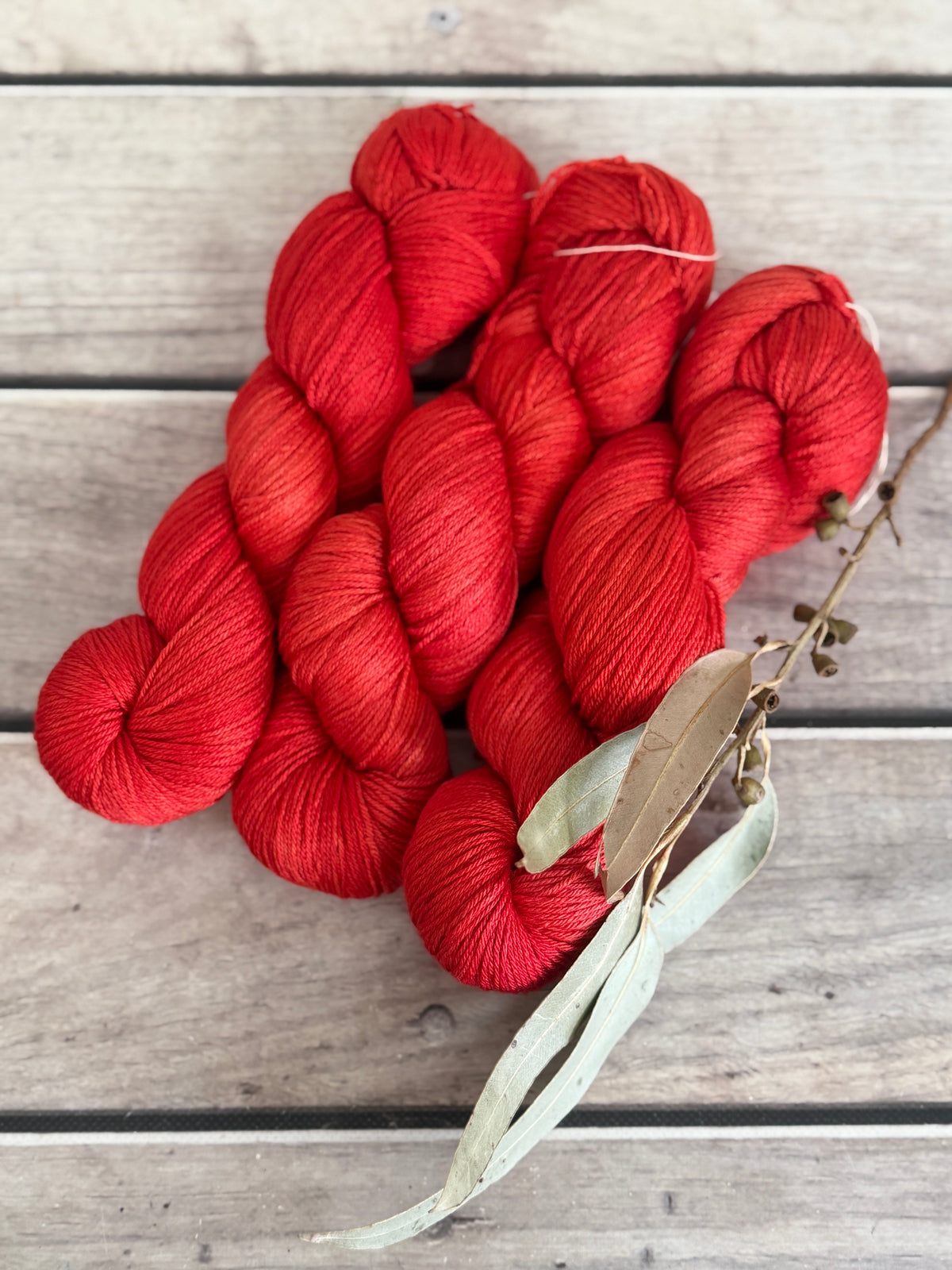 Hibiscus Harlequin Bug #2 - 4 ply merino/ nylon sock yarn- Darjeeling