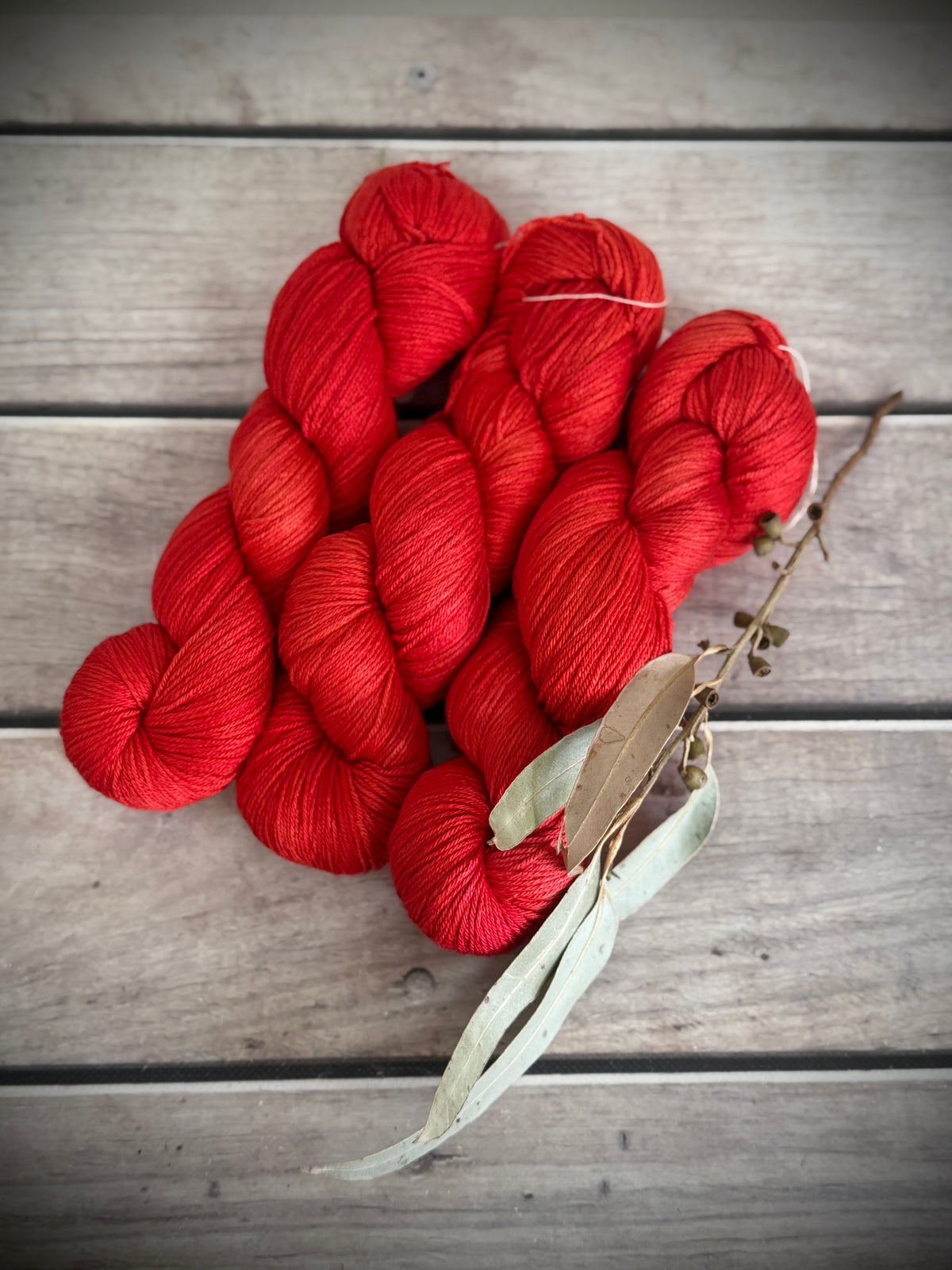 Hibiscus Harlequin Bug #2 - 4 ply merino/ nylon sock yarn- Darjeeling