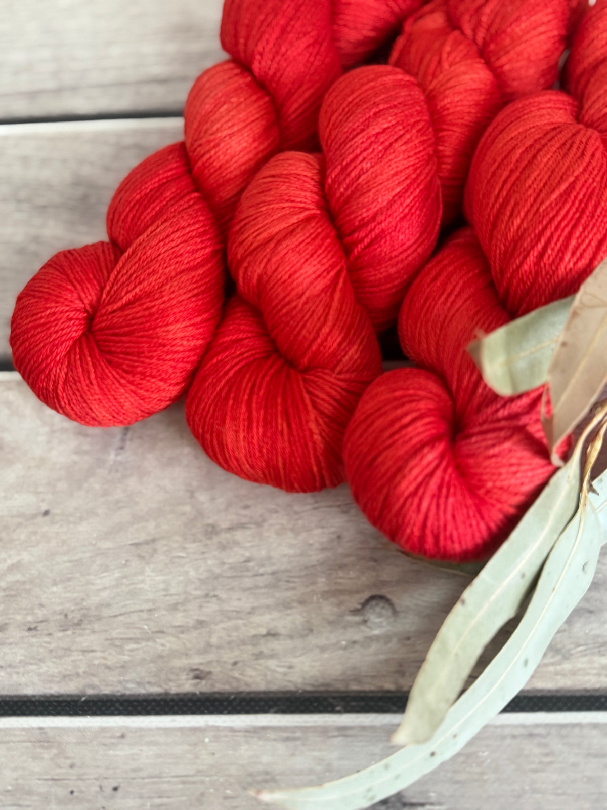 Hibiscus Harlequin Bug #2 - 4 ply merino/ nylon sock yarn- Darjeeling