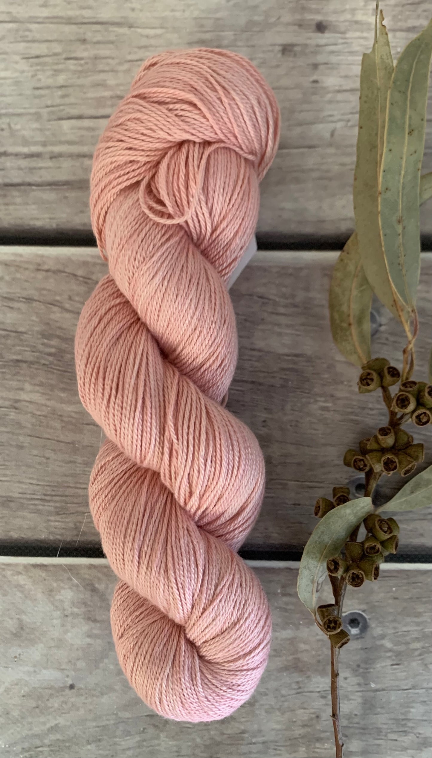 Sandalwood Light on Camelia - silk and cotton 4 ply