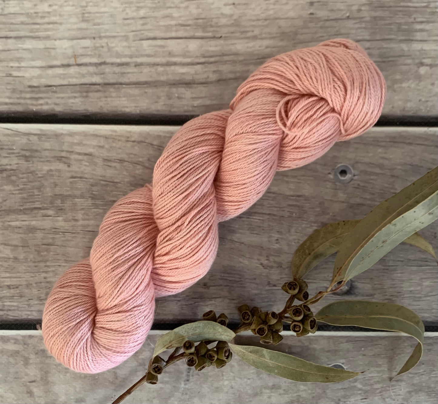Sandalwood Light on Camelia - silk and cotton 4 ply