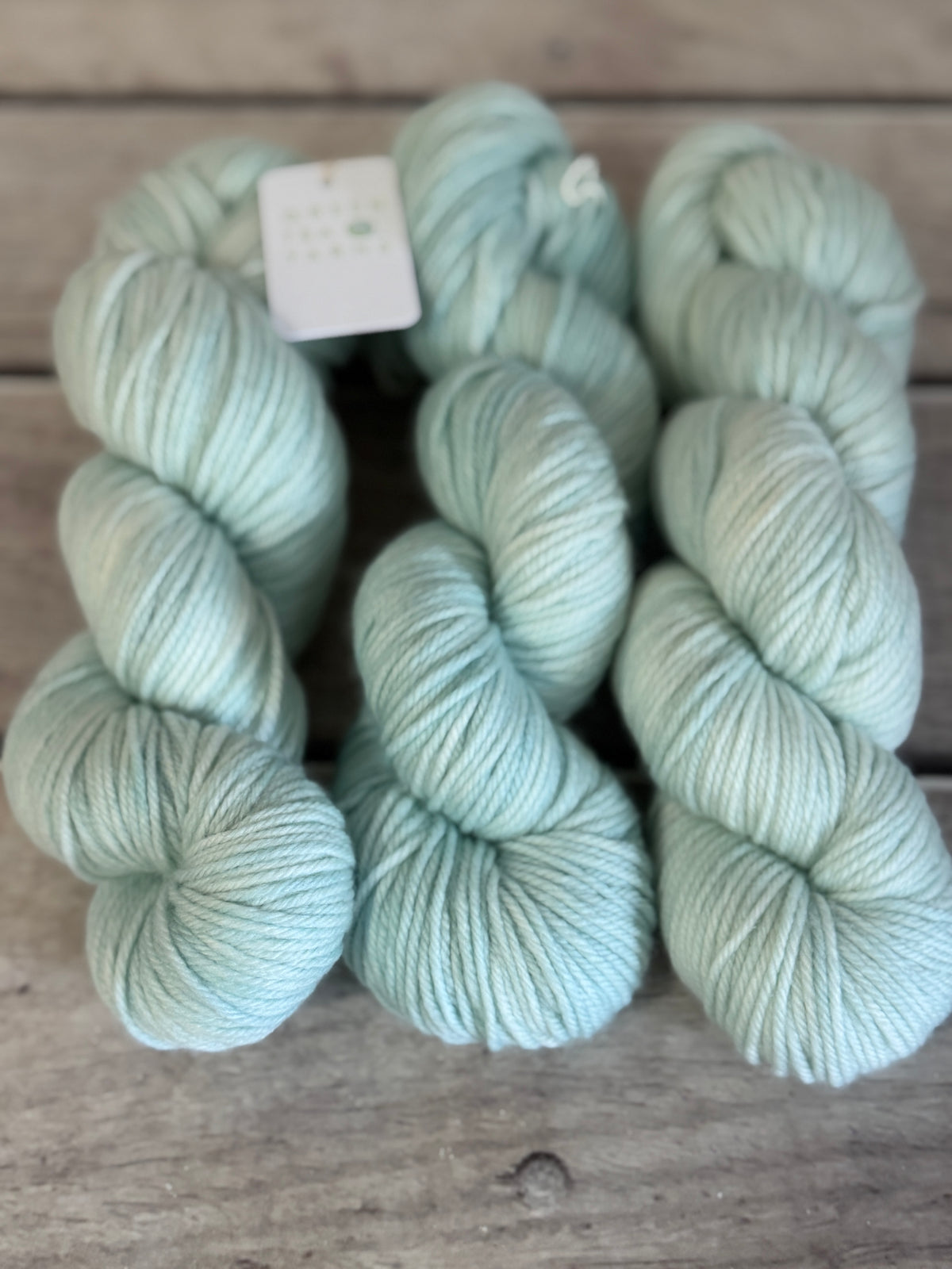 Sea Mist - merino/nylon, Darjeeling DK - 8 ply (50g skeins)