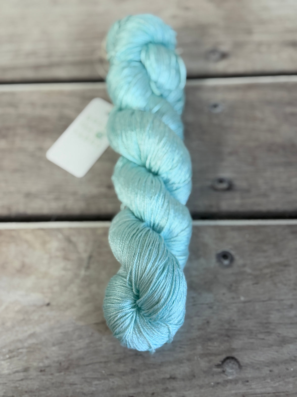 Turquoise Bay - 4 ply in Mulberry silk - Pekoe f
