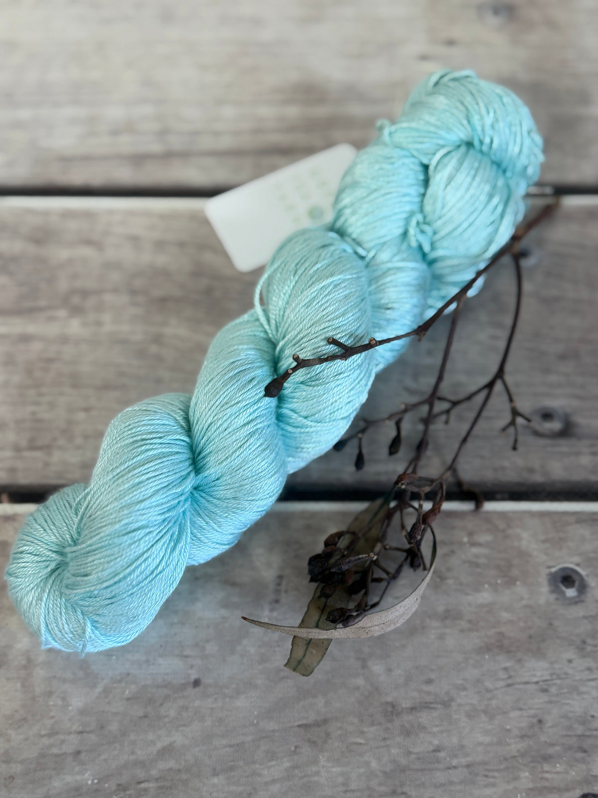 Turquoise Bay - 4 ply in Mulberry silk - Pekoe f