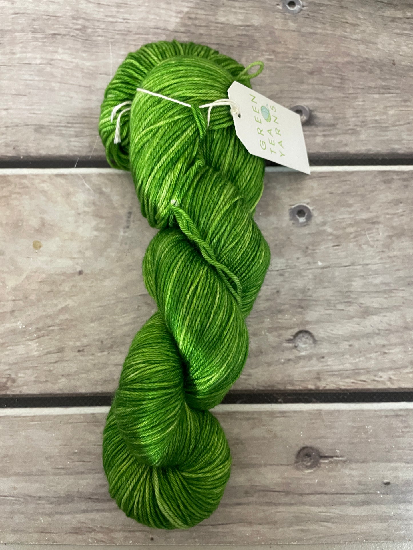 Frog Green - sock yarn in merino and nylon - Darjeeling