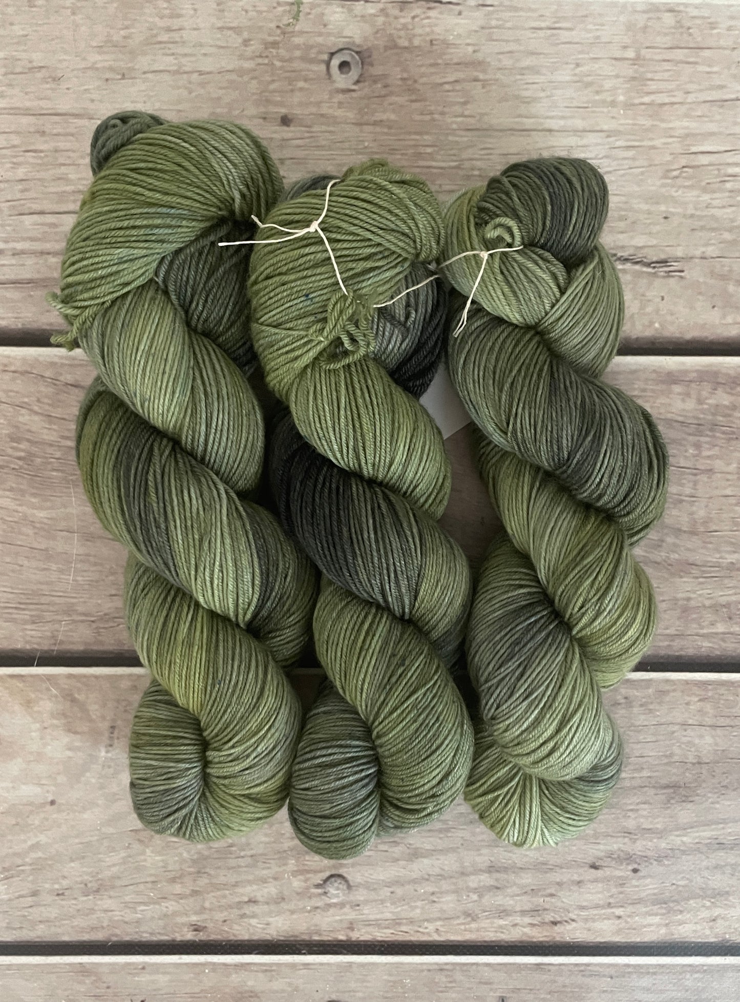 Indian Painted Grasshopper #3 - 4 ply sock yarn in merino and nylon - Darjeeling 4