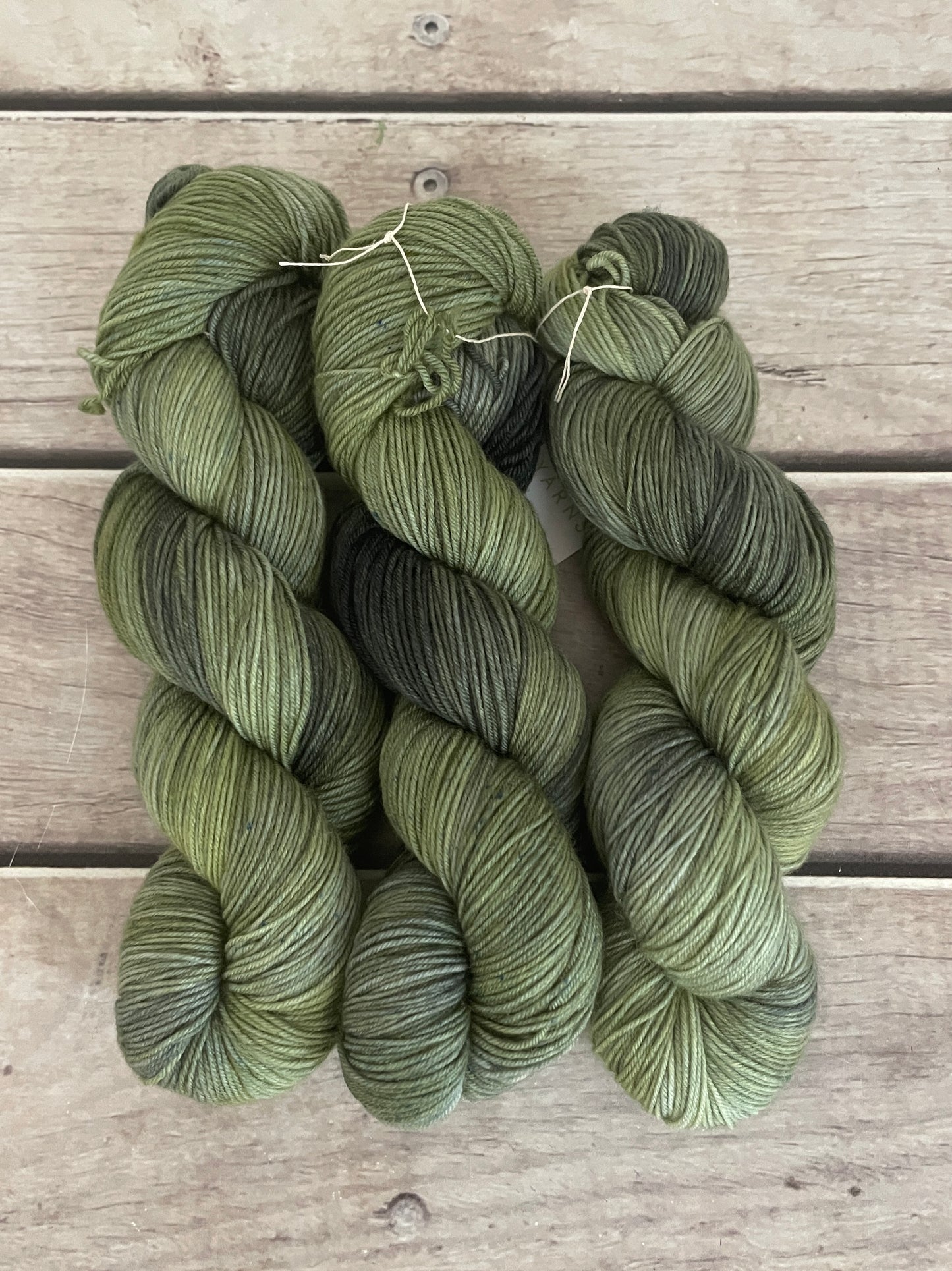 Indian Painted Grasshopper #3 - 4 ply sock yarn in merino and nylon - Darjeeling 4