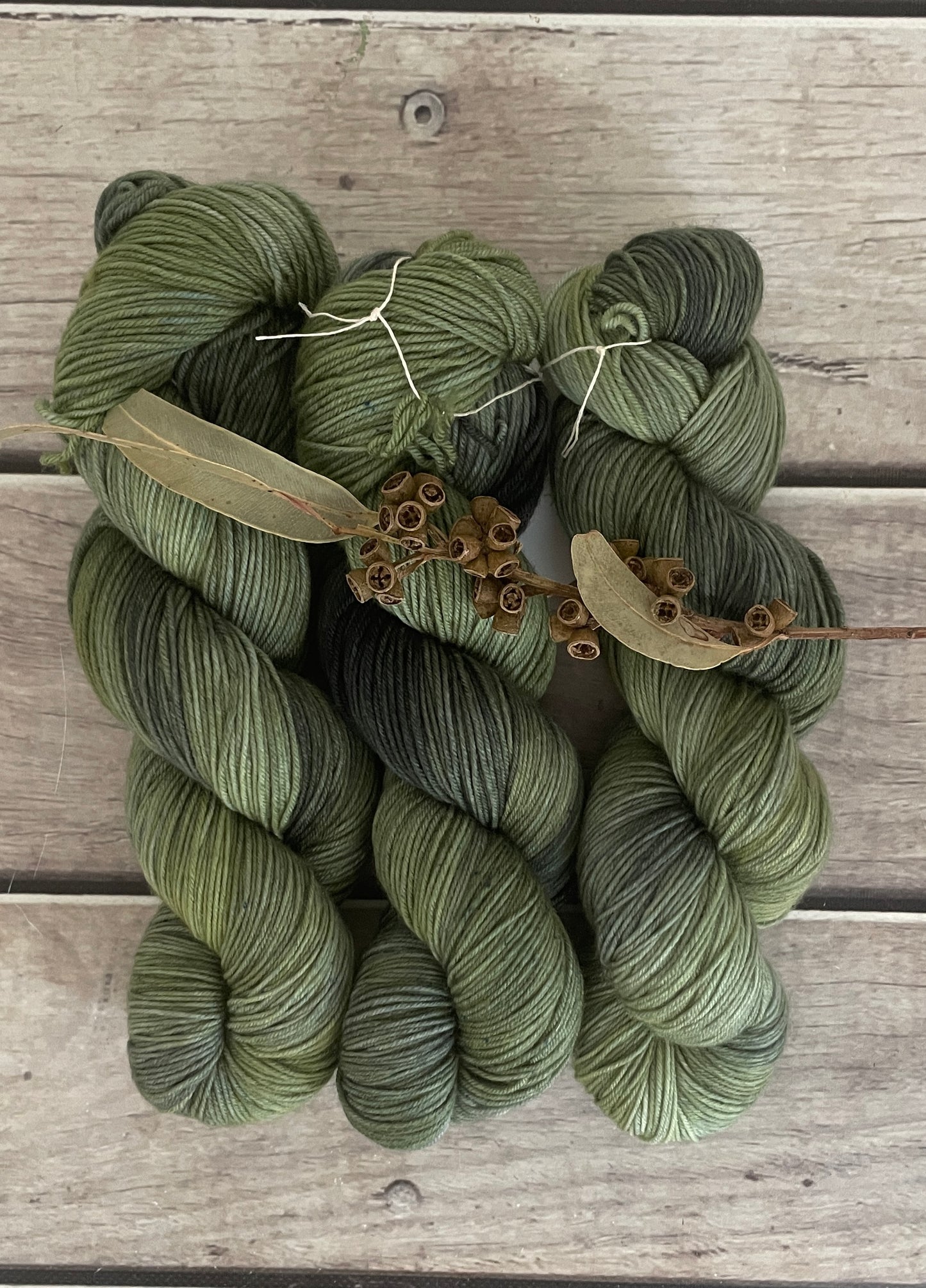 Indian Painted Grasshopper #3 - 4 ply sock yarn in merino and nylon - Darjeeling 4