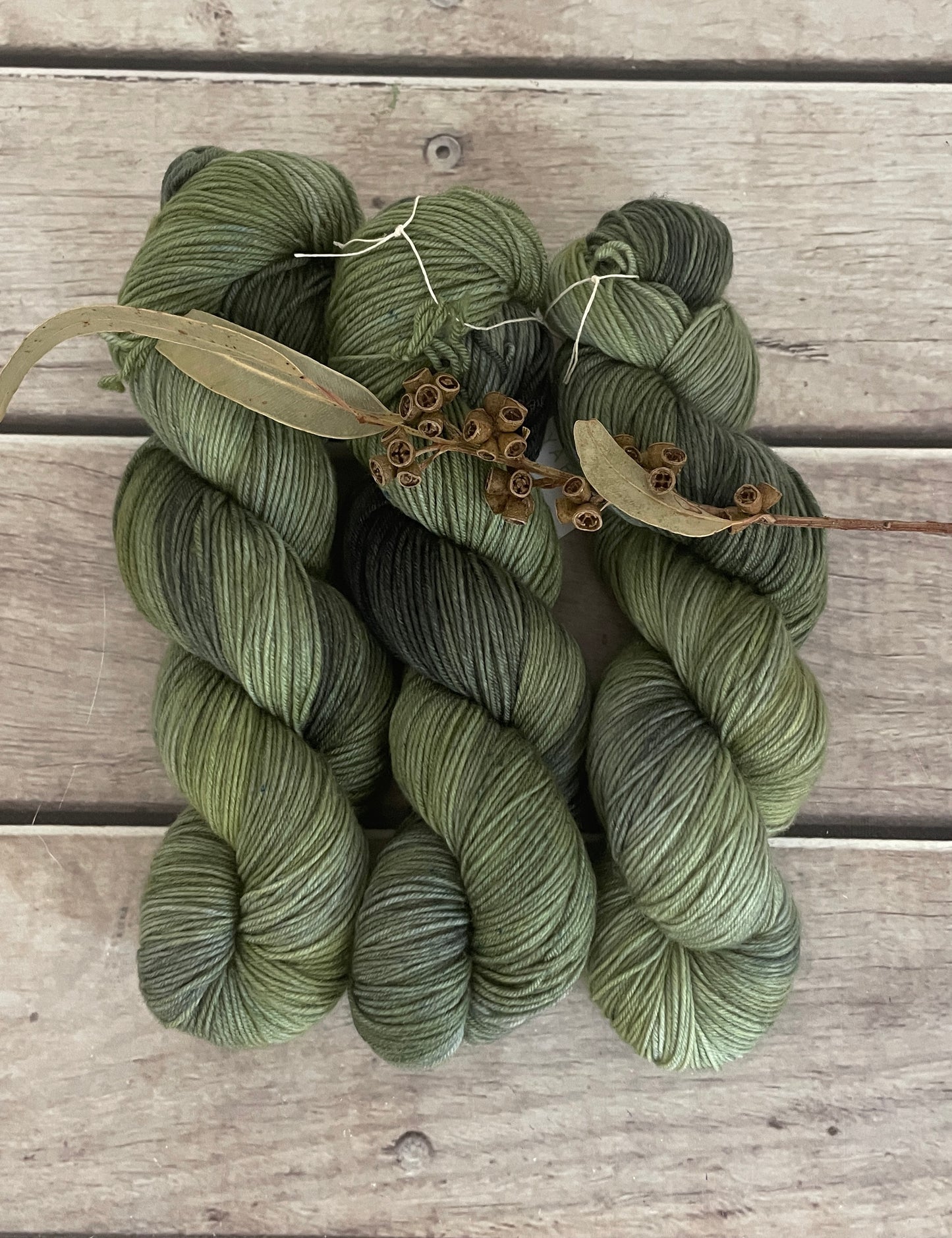 Indian Painted Grasshopper #3 - 4 ply sock yarn in merino and nylon - Darjeeling 4