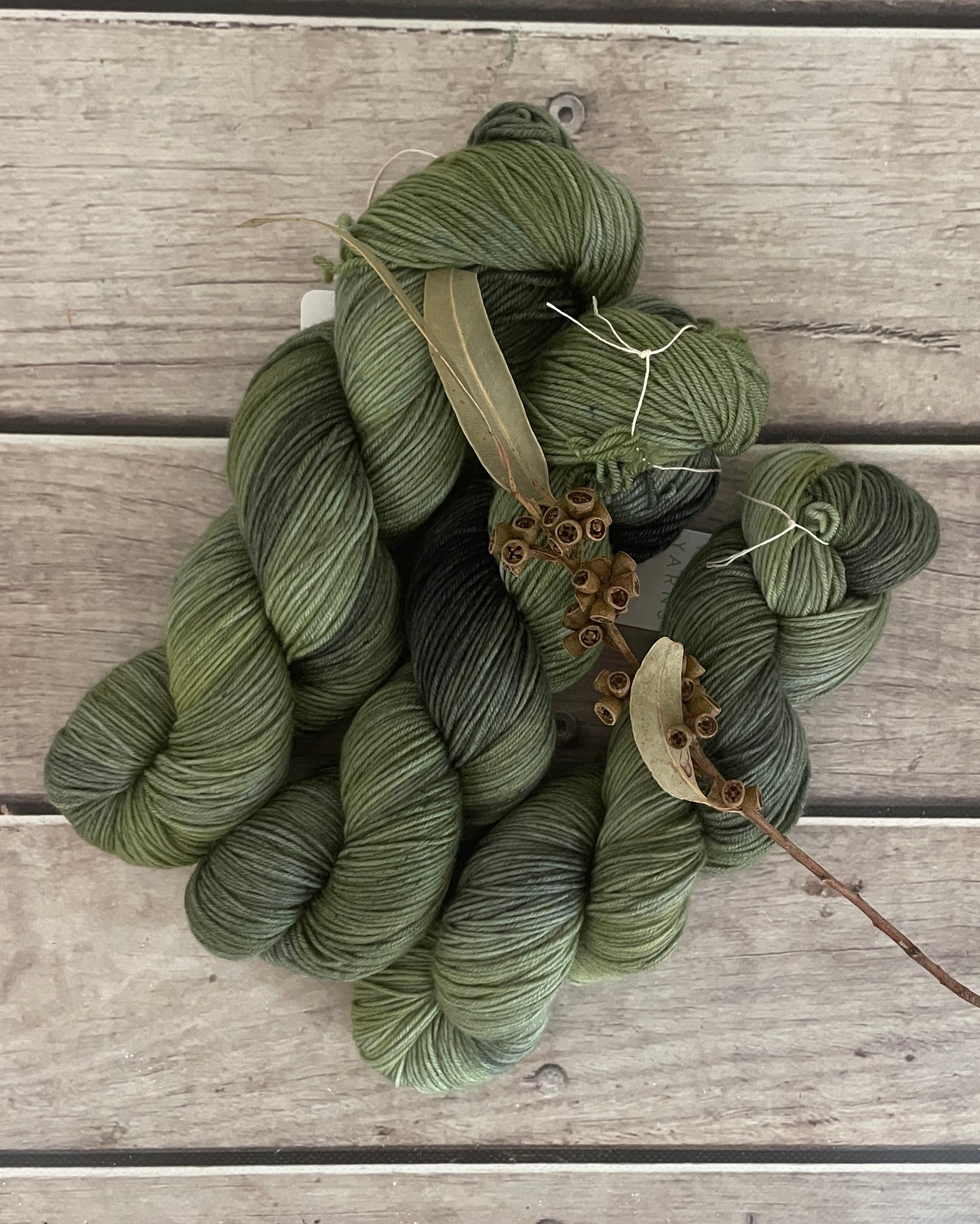 Indian Painted Grasshopper #3 - 4 ply sock yarn in merino and nylon - Darjeeling 4