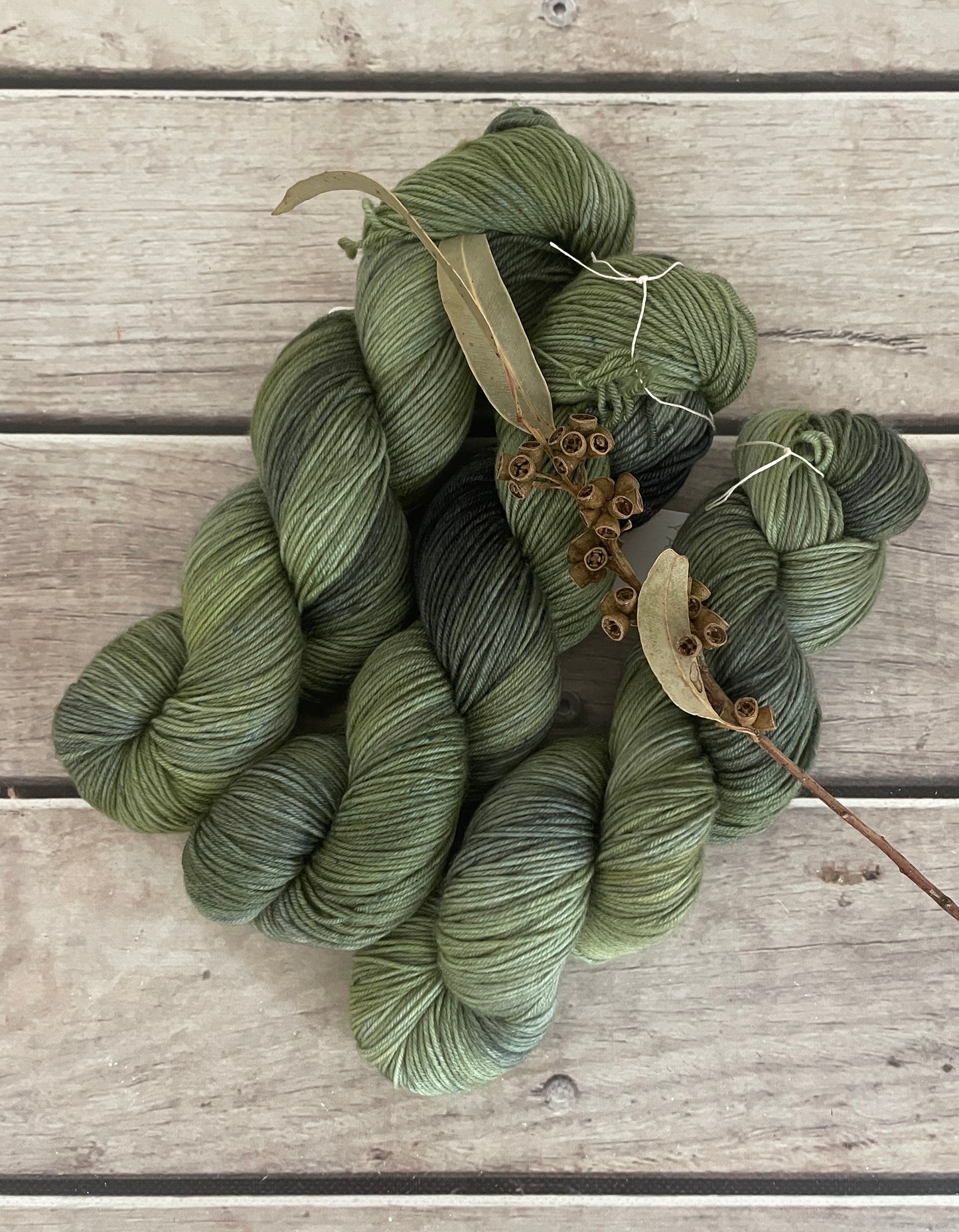 Indian Painted Grasshopper #3 - 4 ply sock yarn in merino and nylon - Darjeeling 4