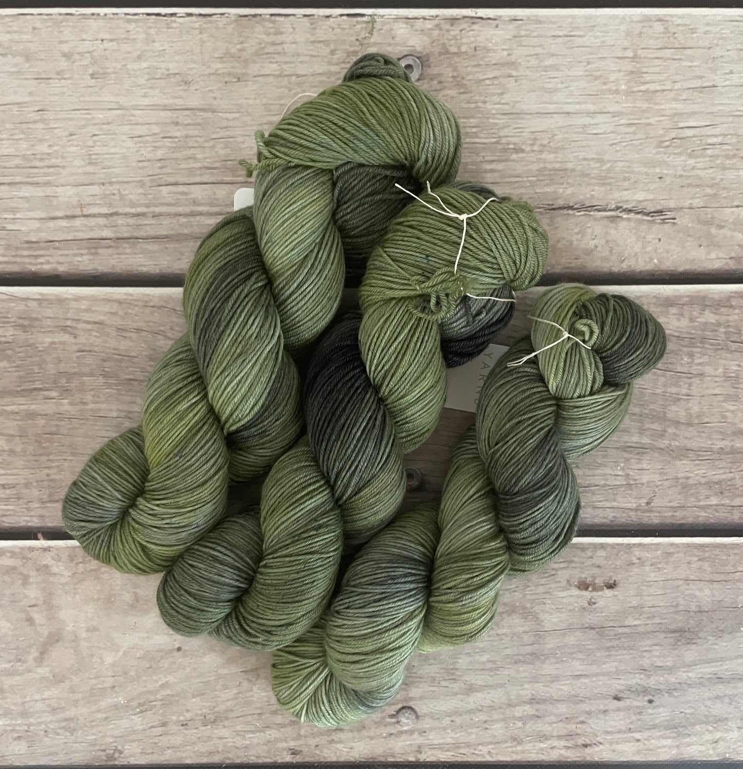 Indian Painted Grasshopper #3 - 4 ply sock yarn in merino and nylon - Darjeeling 4