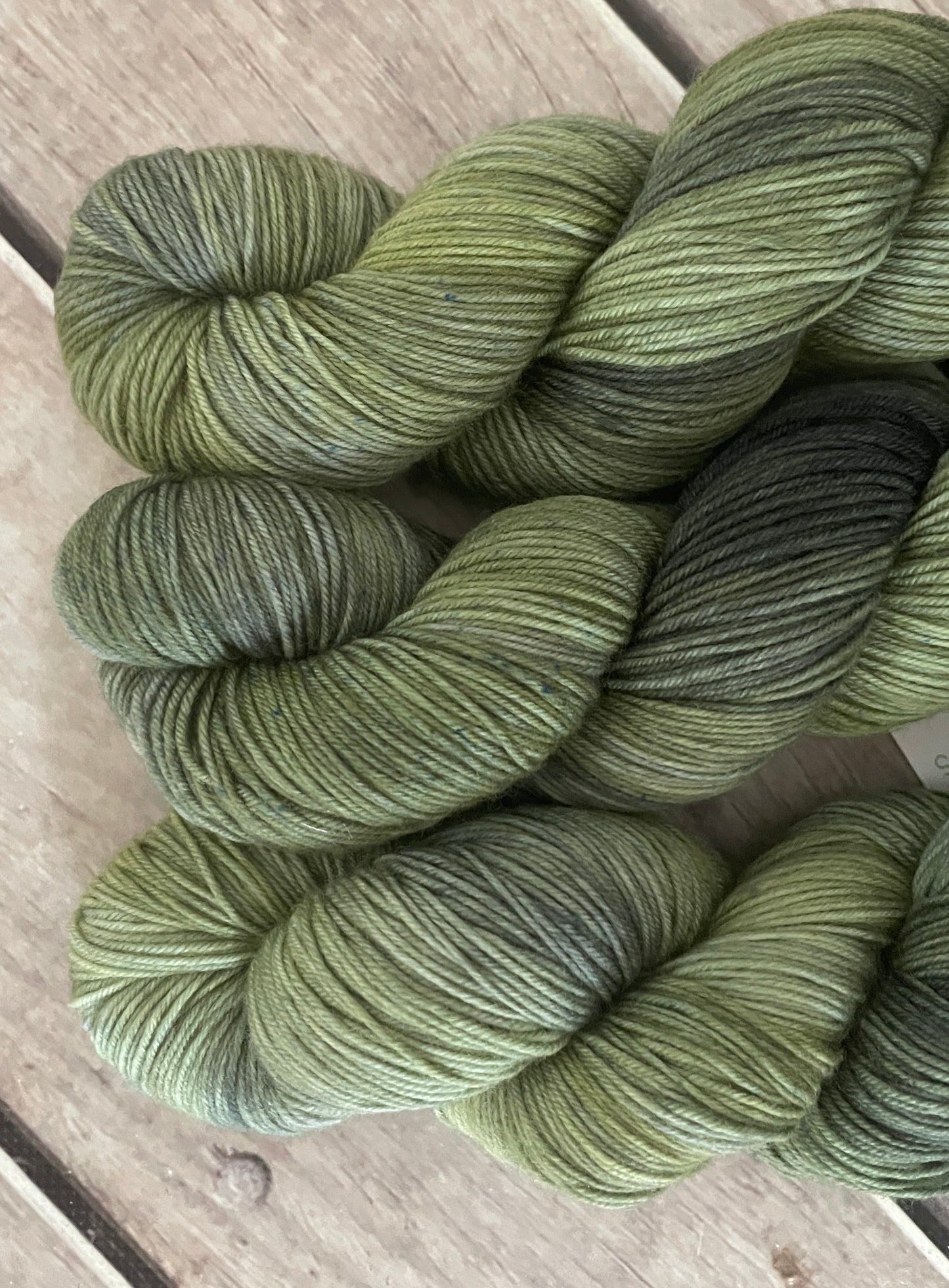 Indian Painted Grasshopper #3 - 4 ply sock yarn in merino and nylon - Darjeeling 4