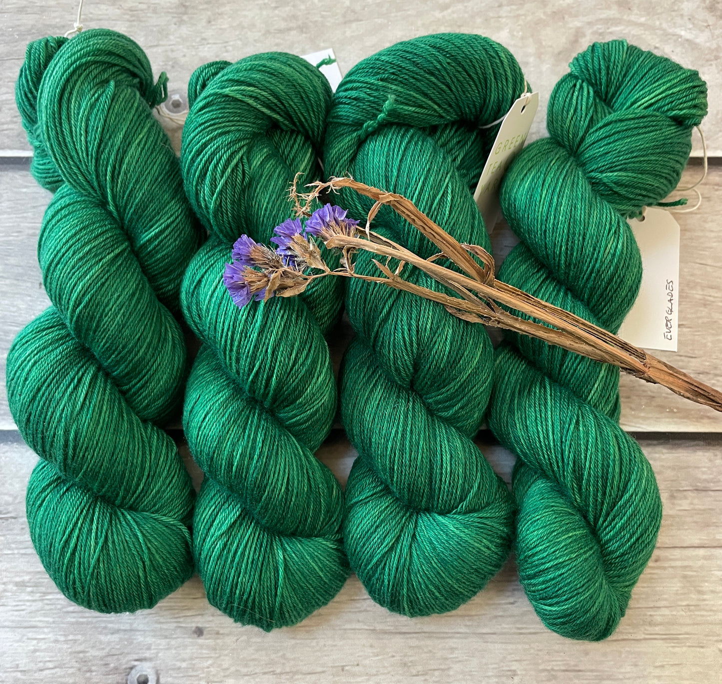 Everglades - sock yarn in merino and nylon - Darjeeling