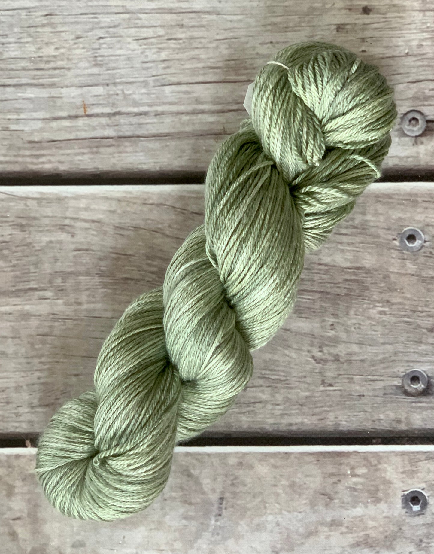 Spring Sage - 4 Ply Silk & Merino - White Cloud