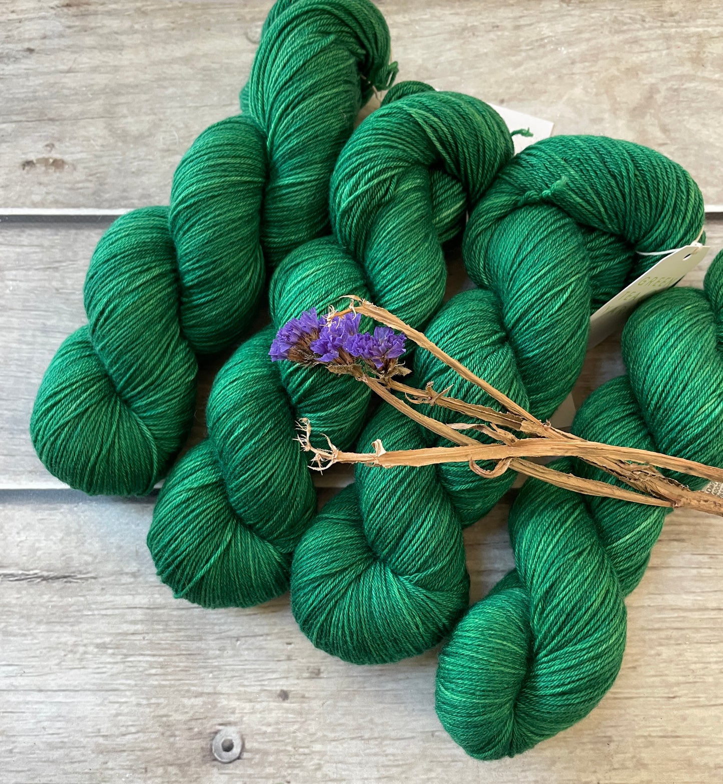 Everglades - sock yarn in merino and nylon - Darjeeling