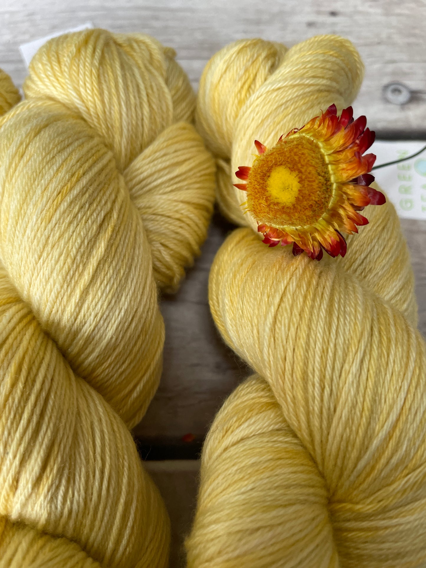 Picnic Weather - 4 ply sock yarn in merino and nylon - Darjeeling