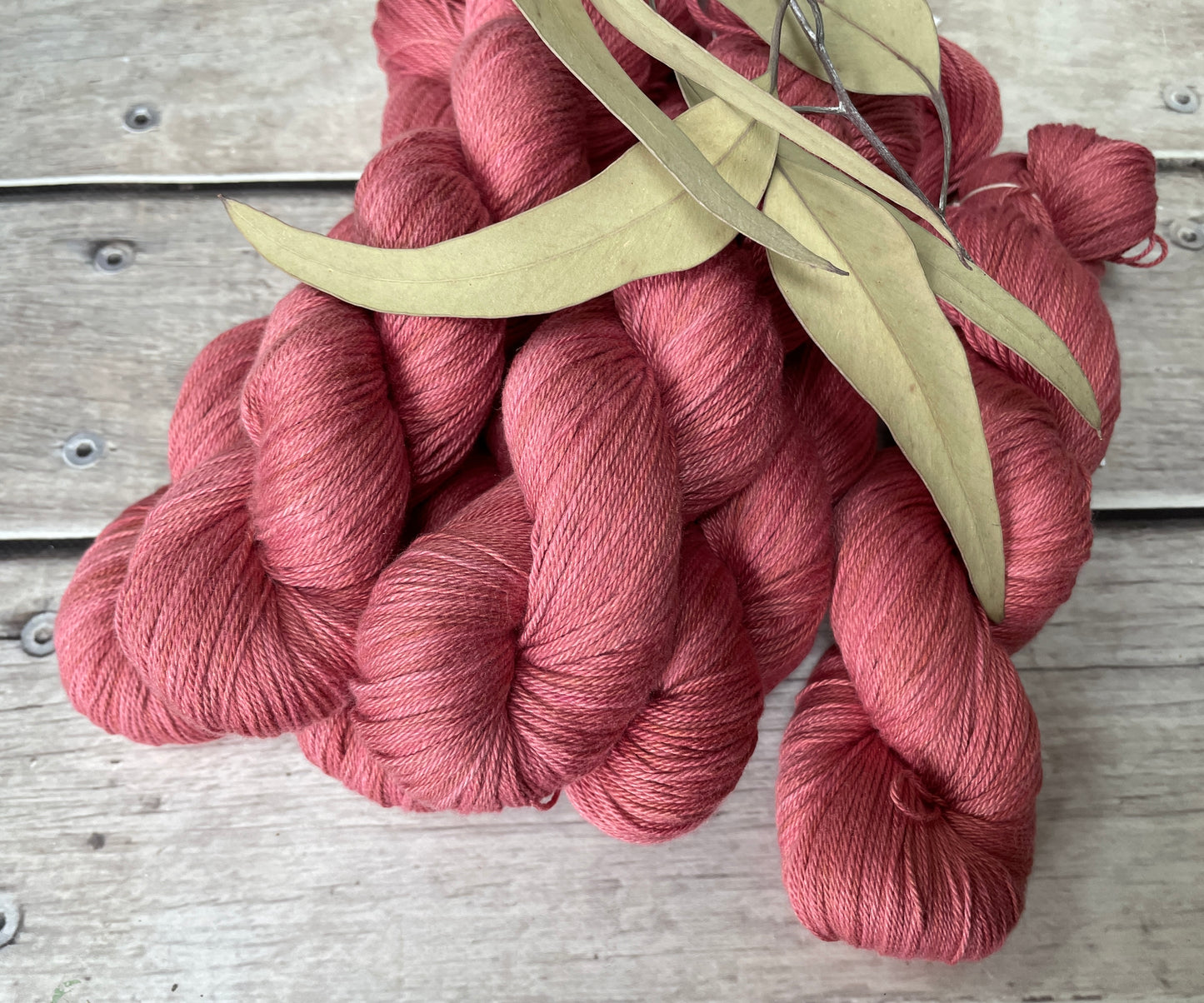 Sherbet Fizz on Camelia - silk and cotton 4 ply