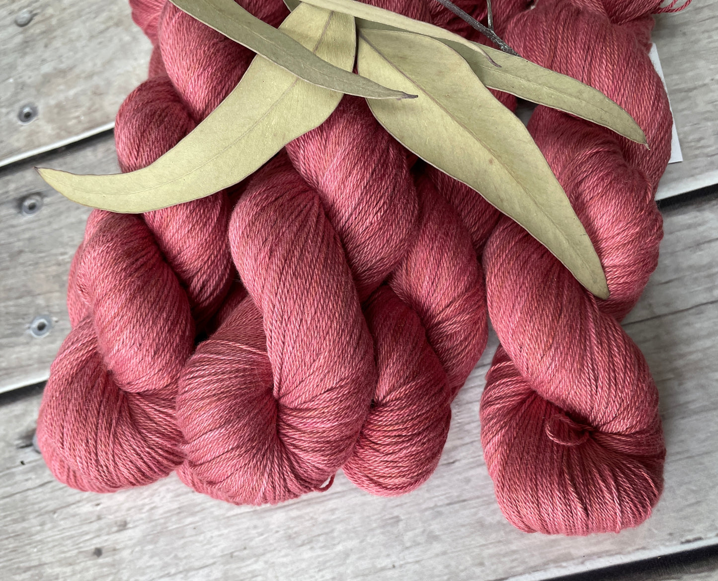 Sherbet Fizz on Camelia - silk and cotton 4 ply