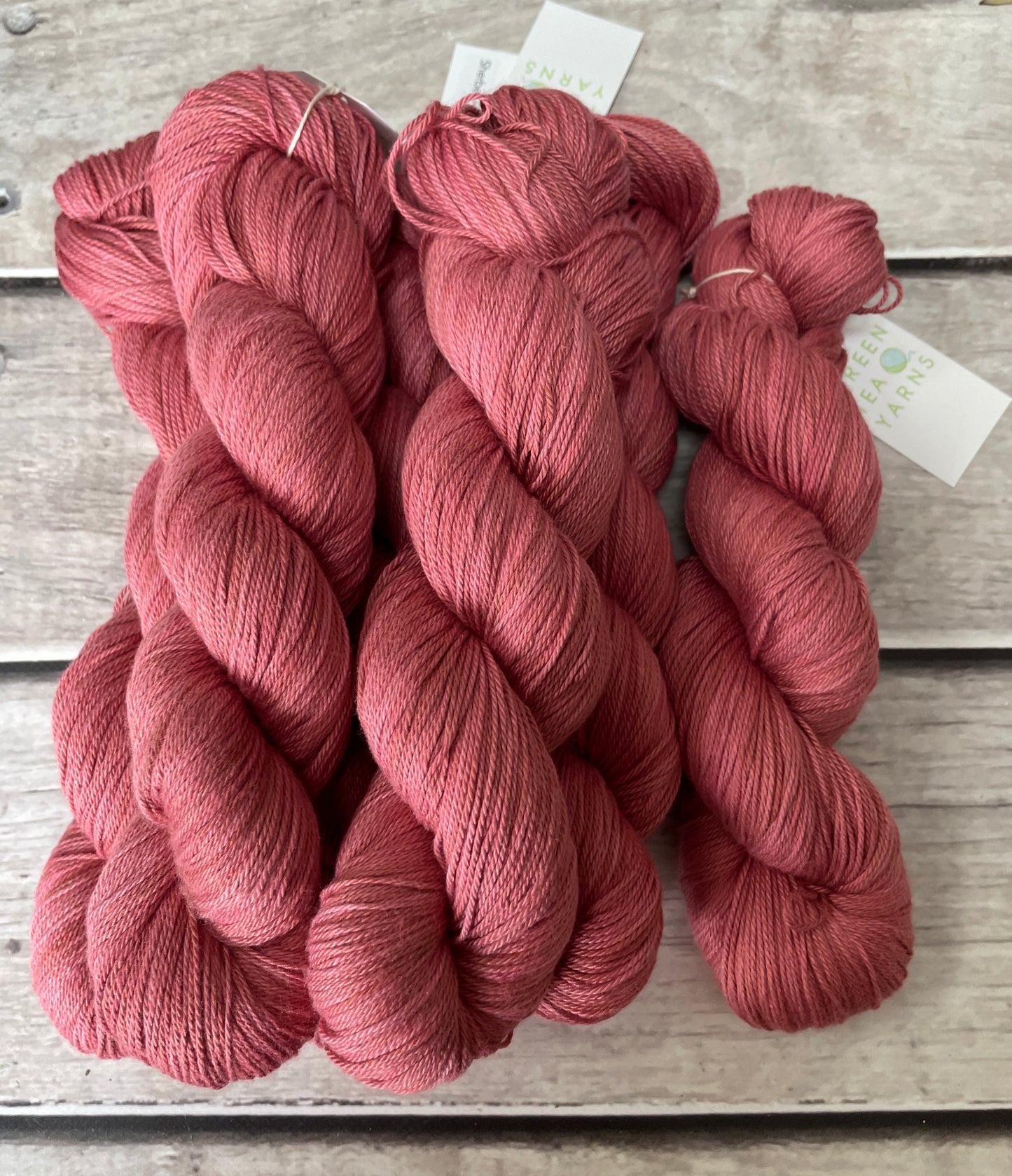 Sherbet Fizz on Camelia - silk and cotton 4 ply