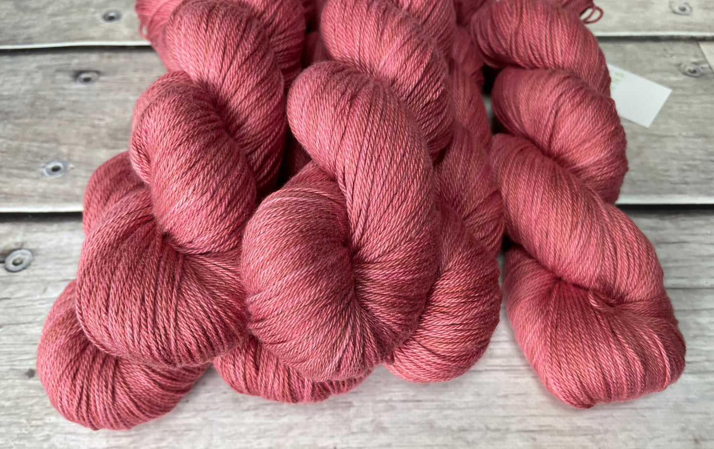 Sherbet Fizz on Camelia - silk and cotton 4 ply